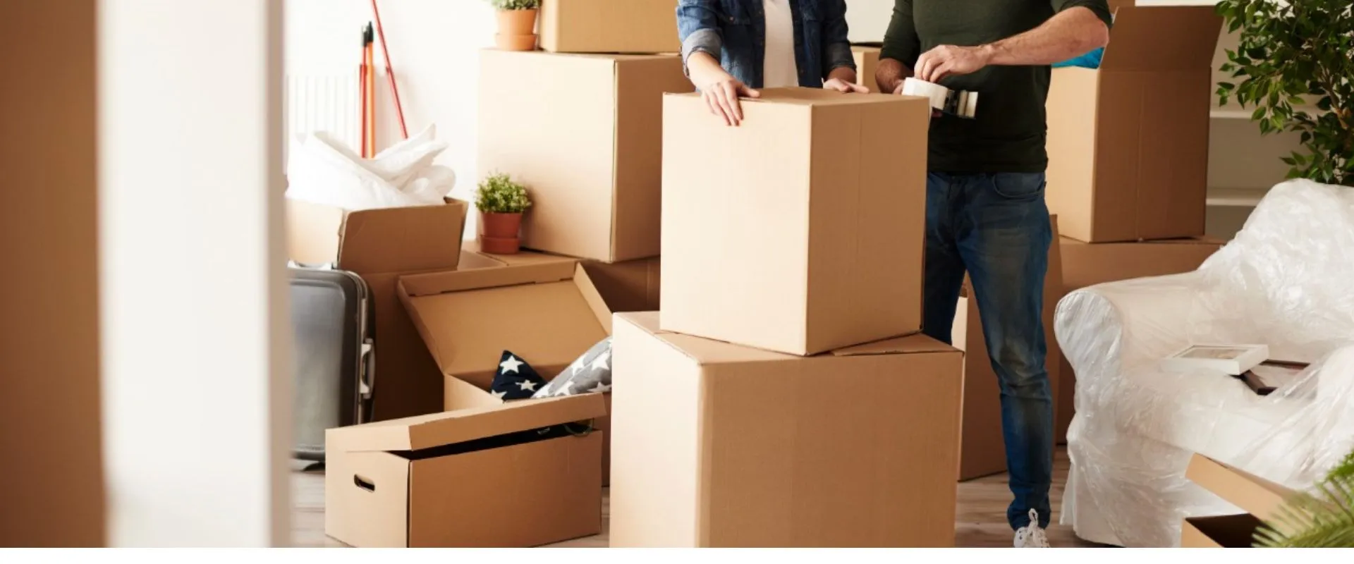 Packers and Movers in Noida